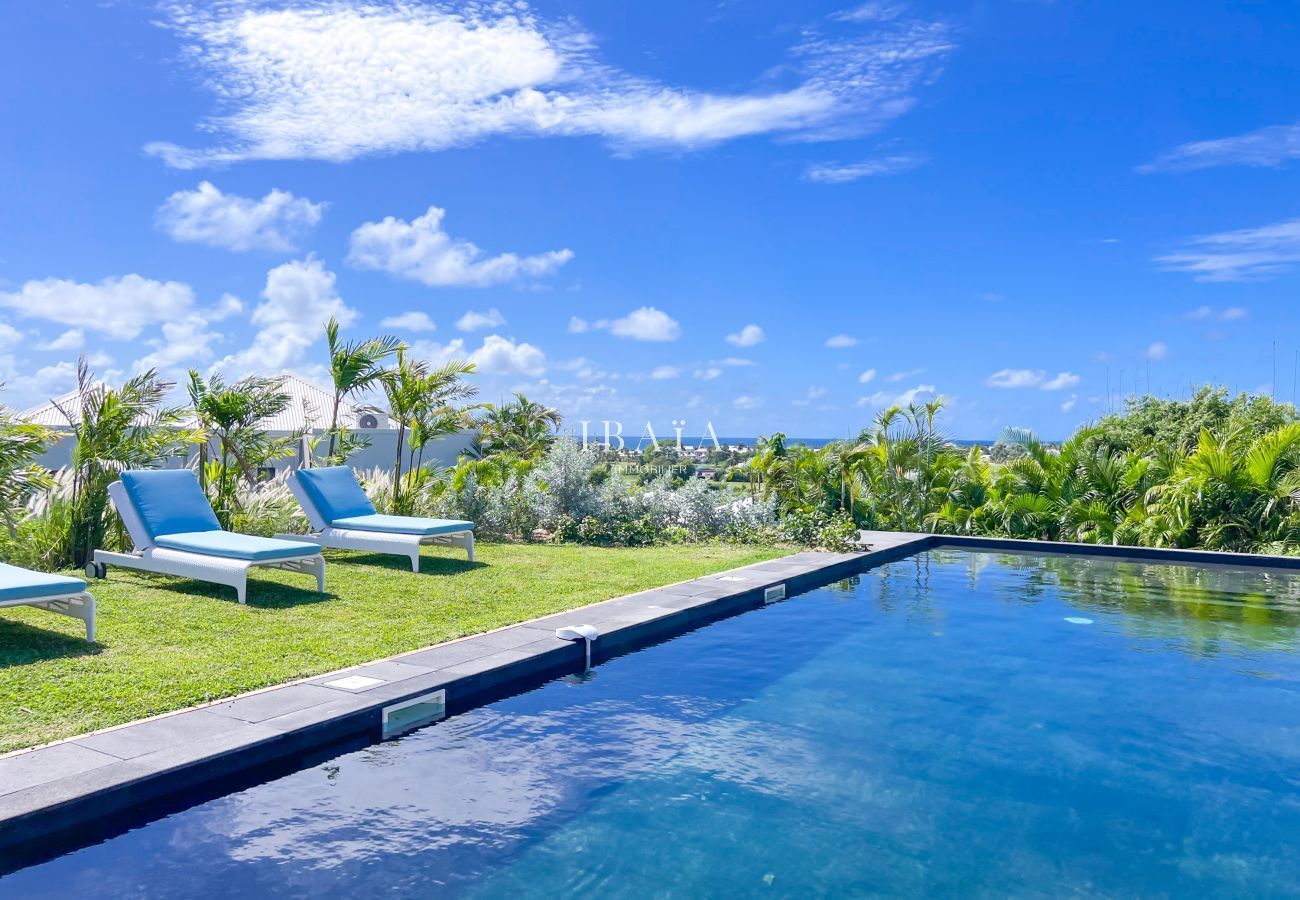 Villa with infinity pool