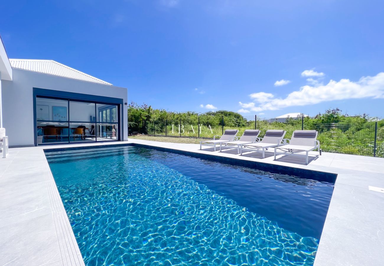 Modern luxury villa with pool