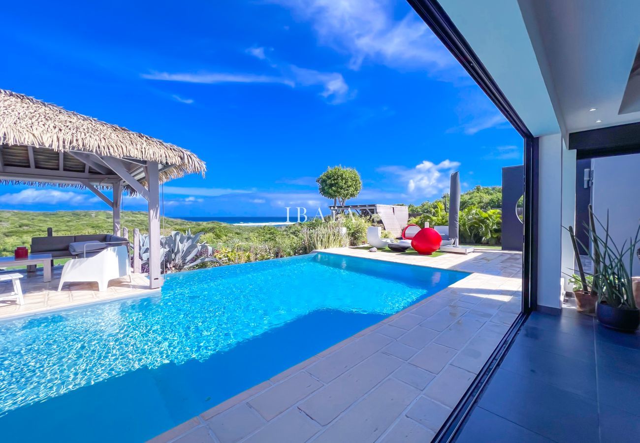 Infinity pool with sea view and thatched gazebo