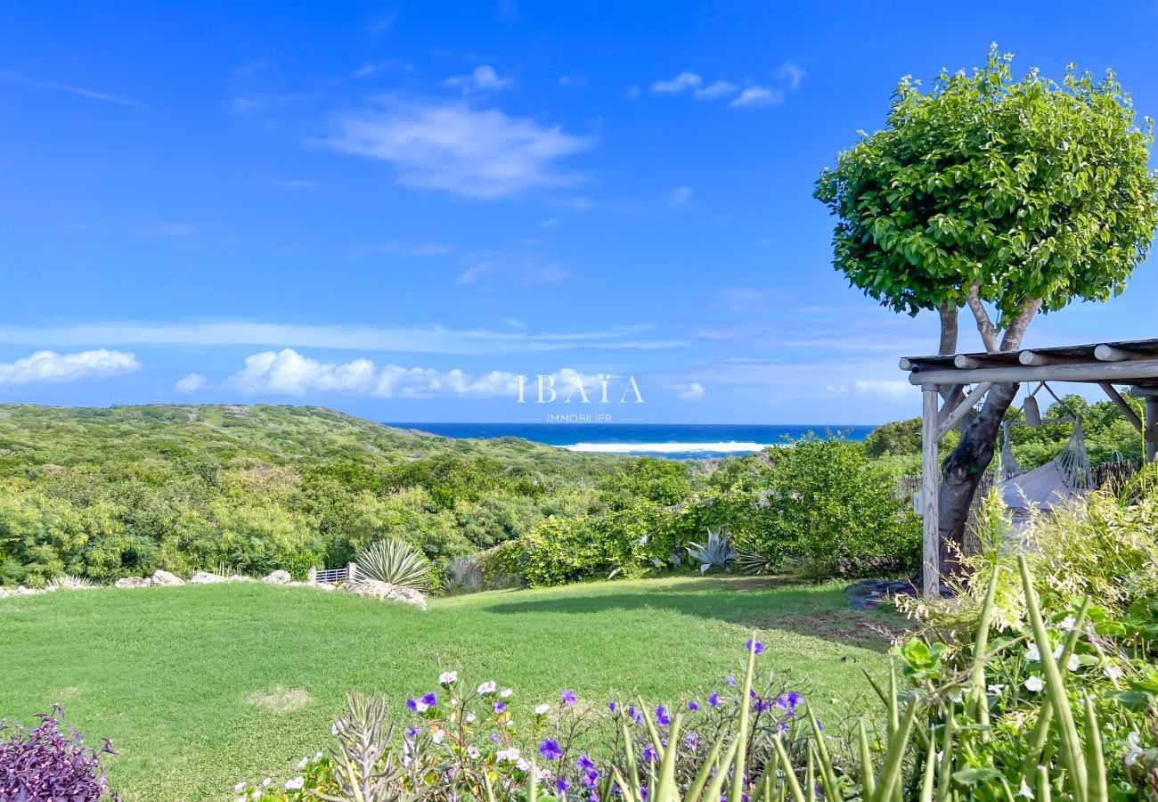 Jardín tropical con vista al océano en el Caribe