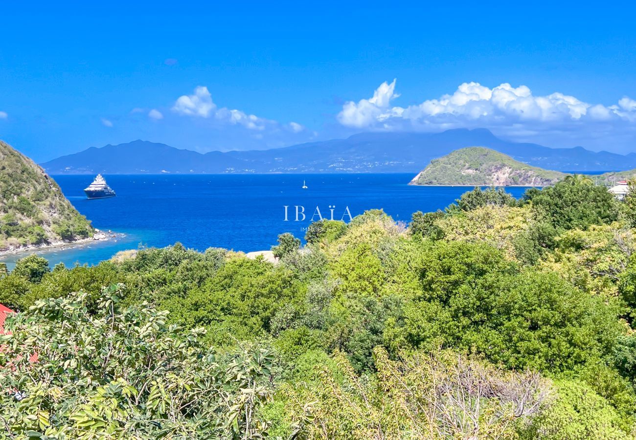 Paisaje marino con yate y vegetación